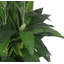 100cm Artificial Plant in Pot Liner-39150846