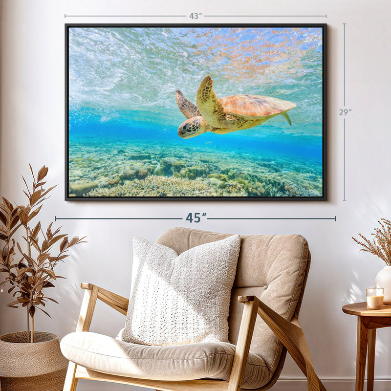 Turtle Dive Canvas Print, 29" H x 43" W