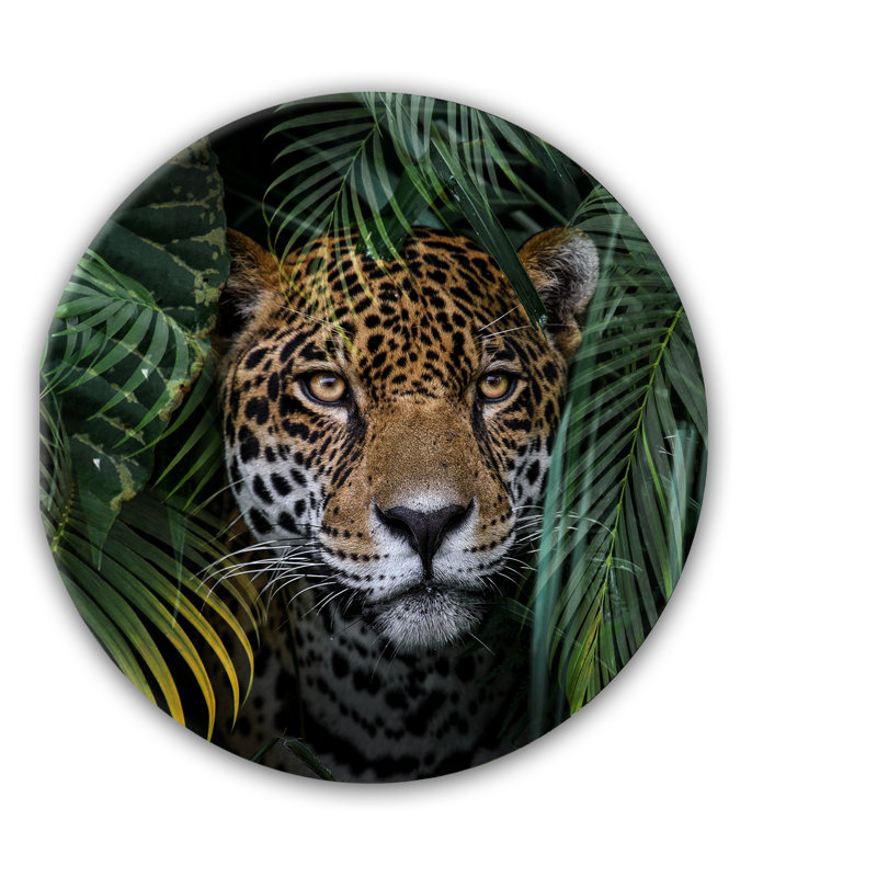 Glasspik Ring Art - No Frame Print
