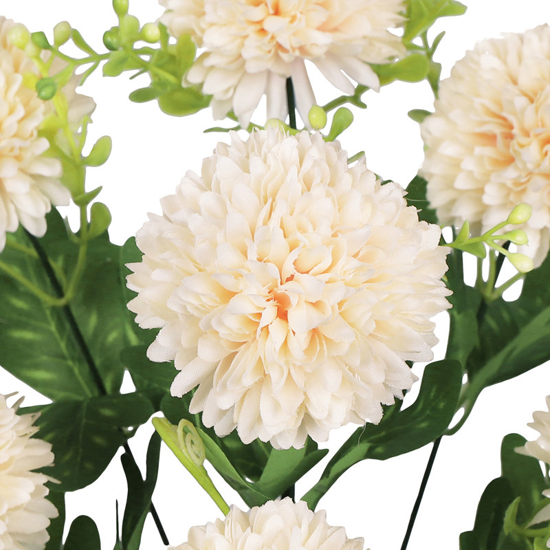 Pom Pom Mum Flower, Crème