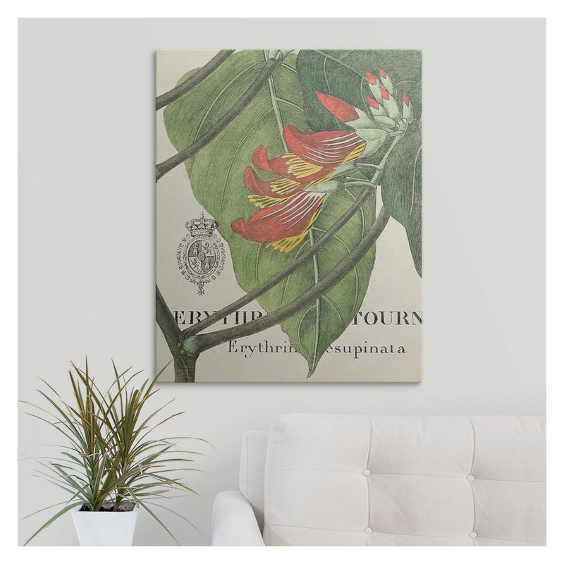« botanique tropicale i », impression, H 30 po x l 24 po x P 1,5 po, Toile