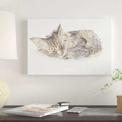 " Sleeping Gray Kitten "