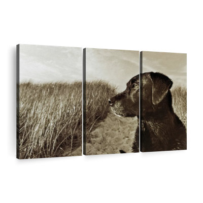 «Black Lab At The Beach», 3 pièces