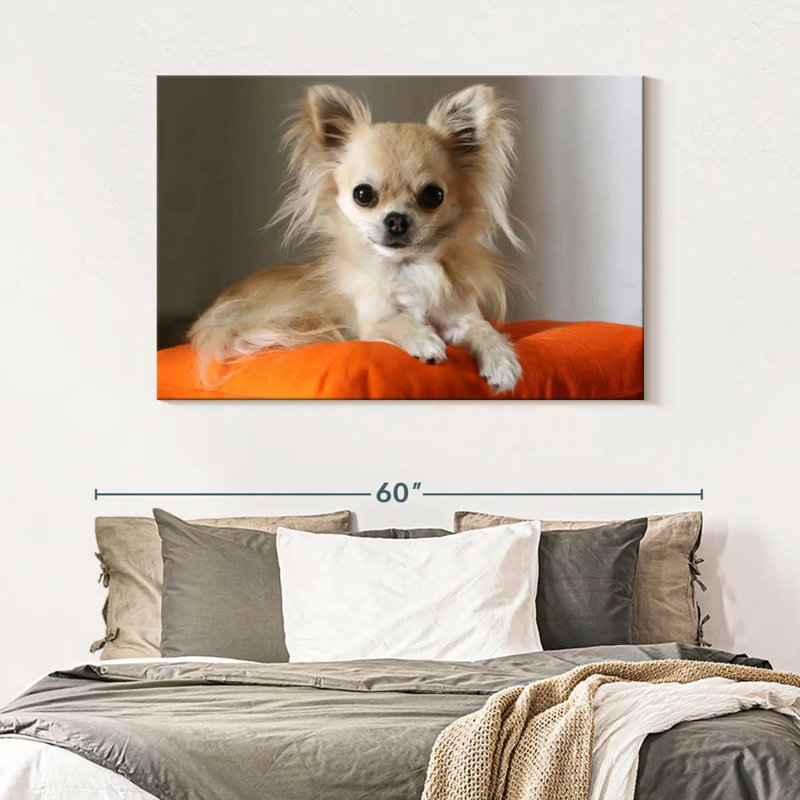 Crowle Chihuahua On Pillow, 32" H x 48" W