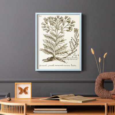 «Sepia Botanical Journal I», reproduction encadrée - bois massif