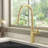 Ruvati Isola Single Handle Pull Out Kitchen Faucet Knurl Transitional with Sprayer in Brushed Gold-114396992
