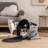 Echol Fabric Tent Pet Bed