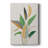 Touched with Sage II -Gallery Wrapped Cavas-153764851