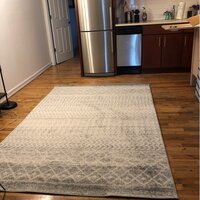 Kenmore Geometric Light Gray/Gray/White Area Rug AllModern Rug Size: Rectangle 7'10 x 10'3