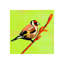 Nid De Plume II Print by Chelsea Art Studio-25705502-25705509
