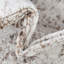 Tapis Brandt-130921828-100764903-119885840