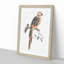 A Parrot by Johan Teyler - Single Picture Frame Painting-55453483-55453479