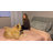 Bed Frame with 50.2" Headboard, Upholstered Platform Bed Frame with Vertical Channel Tufted Velvet Fabric, Extra Large Tufted headboard, Nailhead Trim, No Box Spring Needed-1005828304-1005828308
