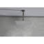 Pomme de douche 12 po à fixation murale, nickel brossé, laiton, profondeur 59 po, largeur 12 po, hauteur 60 po, fixation 9,78 lb, apparence nickel