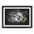Black Framed selected