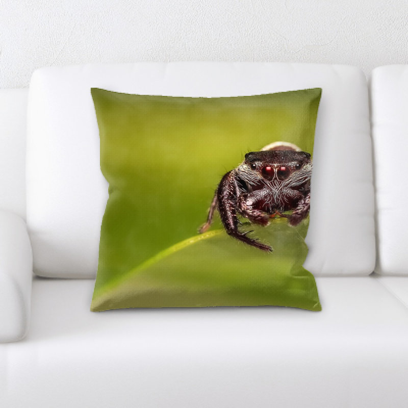 Coussin de spider saut
