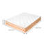 Breeins Foam Mattress-122902377