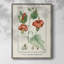 Reproduction encadrée Turpin Tropical Botanicals IV - bois massif-1403929374