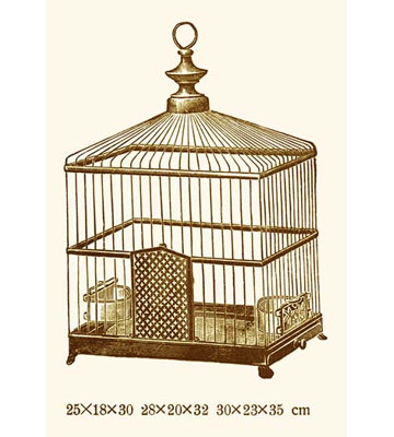 " Ornate Brown Bird Cage J "