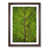 Walnut Framed selected