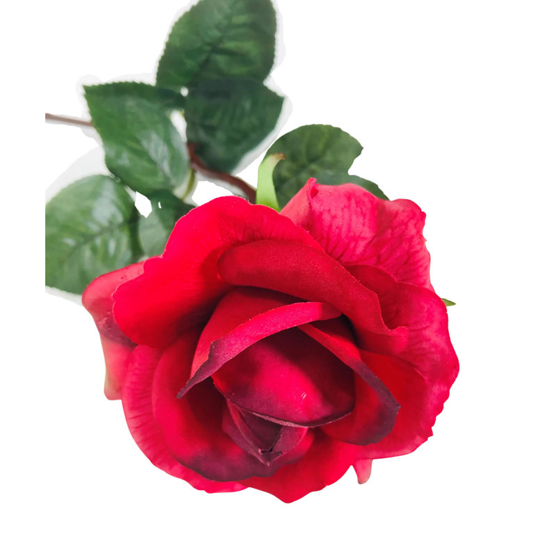 Arrangement floral de roses, Rouge