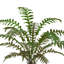 36'' Faux Fern Tree in Pot Liner