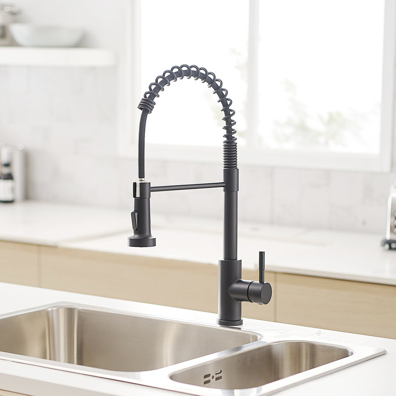 GAWEZA Kitchen Faucet, Black