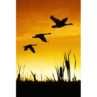 Migrating Canada Geese 1 Piece Wrapped Canvas Wall Art