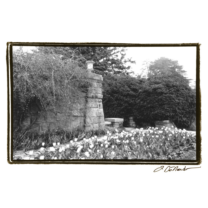 Garden Grace II by Laura DeNardo - Wrapped Canvas Print, 30cm H x 46cm W x 3.8cm D