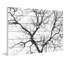 «Black Branches» par Parvez Taj - impression sur bois-1296445920
