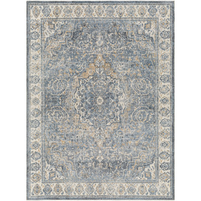 Bejou Oriental Indoor Rug