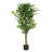 Artificial Ficus Tree With Black Plastic Pot