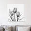 Tulipes - Impression sur toile tendue-23605272