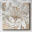 «Blush Bloom I», reproduction sur toile tendue-2052597674