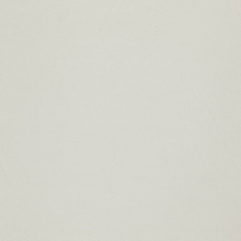 Axis Fabric, Champagne