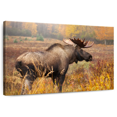 Crowle Mighty Alaskan Moose