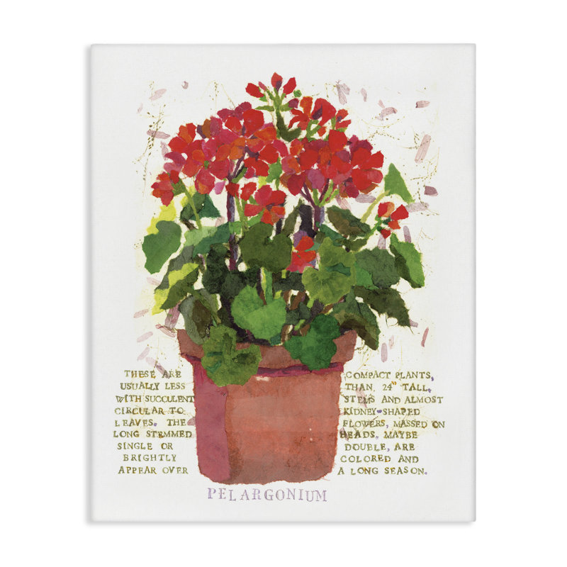 Art sur toile géranium rouge par Nancy Overton, H 30 po x l 24 po