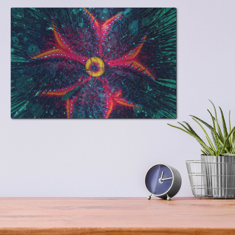 «Sea Urchin Underwater», mur en métal, H 12 po x l 16 po