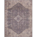 Seok Traditional Machine Washable Medium Gray/Beige/Brown Area Rug