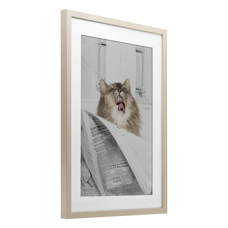 «Reading Cat Bathroom Humor», reproduction sous verre encadrée, design par Jesse Keith, H 20 po x l 14 po