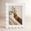 Lilly Scallop Edge Photo Frame, White-1079040632