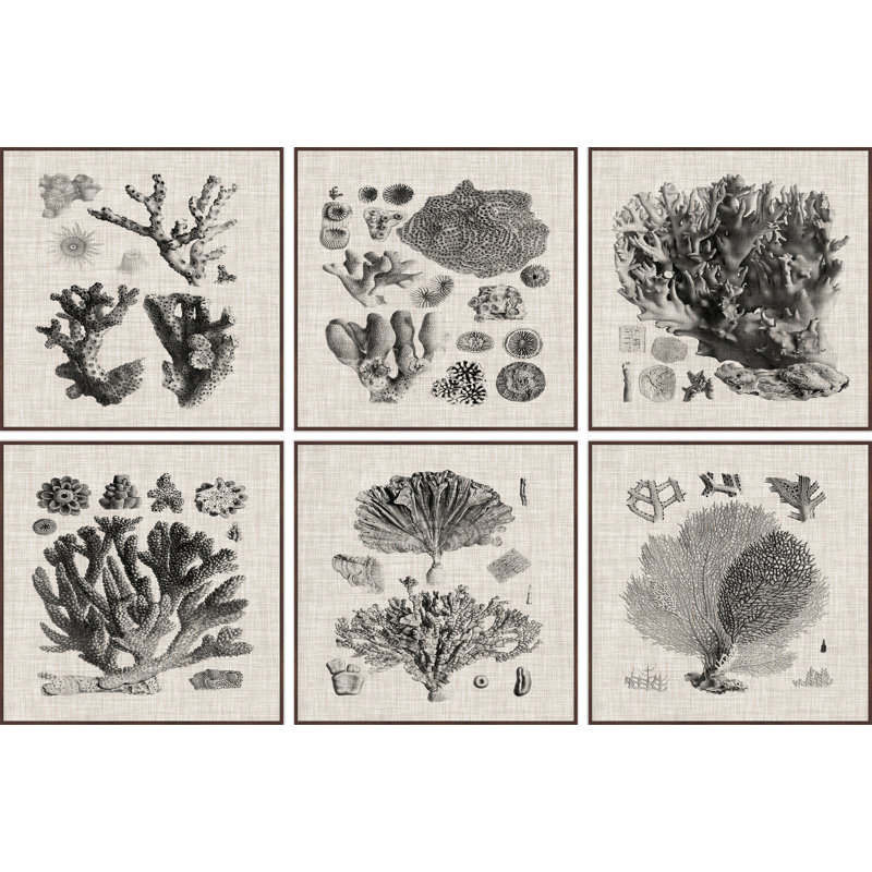 « corail spécimen ii hexaptych »-6 pièces, impression sur toile, H 48 po x l 48 po x L 1,5 po