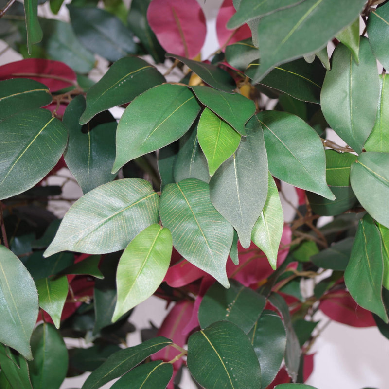 Anivea 120cm Faux Ficus Tree in Pot