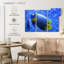 Angelfish bleu corail Brampt-108089551