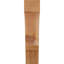 Genouillère Balboa-31229031-31228638-29309786