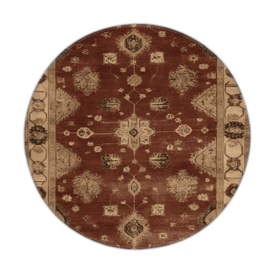 Tapis intérieur et extérieur brun Overdyed