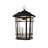 Williams 1- Light Black 14" H Glass Outdoor Hanging Lantern (Bulb Included)