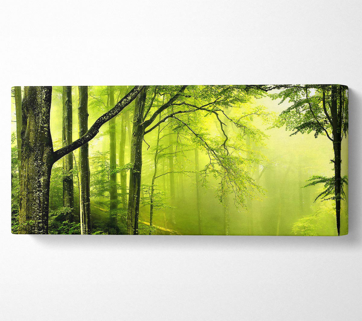 Union Rustic Beautiful Green Forest - Wrapped Canvas Art Prints ...