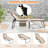 Shontina Outdoor Chaise Lounge