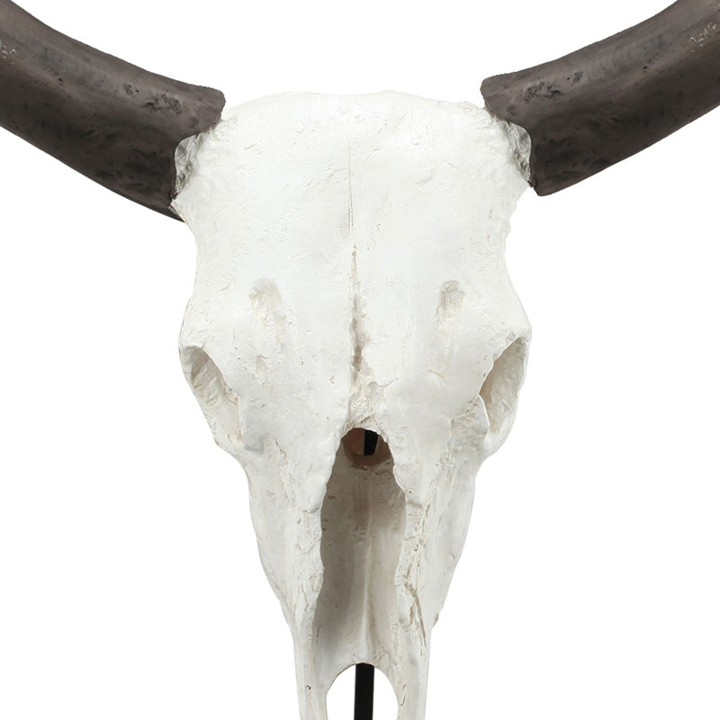 Animals Bust